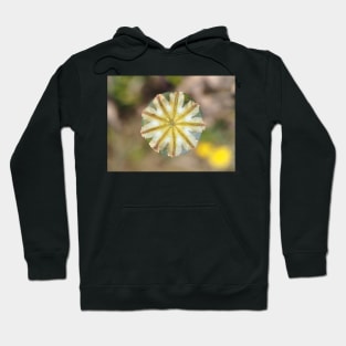 Poppy seed pod, view from above Hoodie